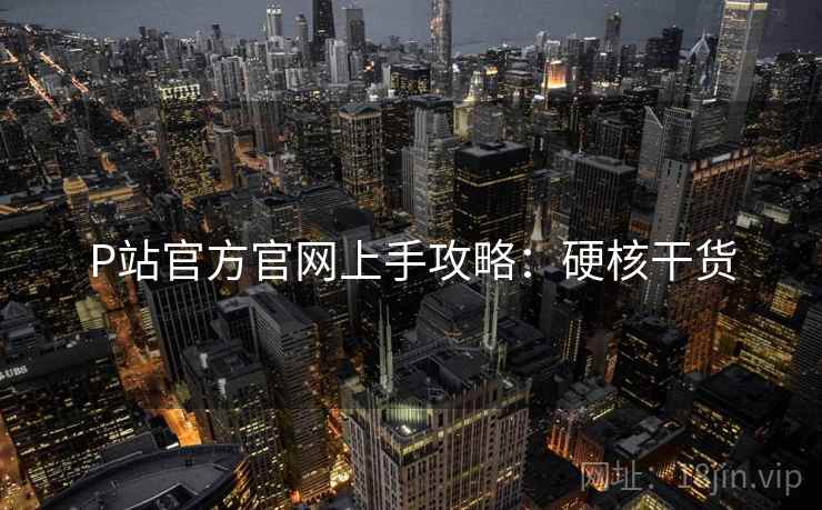 P站官方官网上手攻略：硬核干货