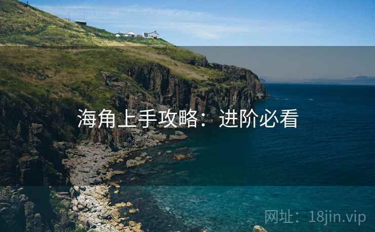 海角上手攻略：进阶必看