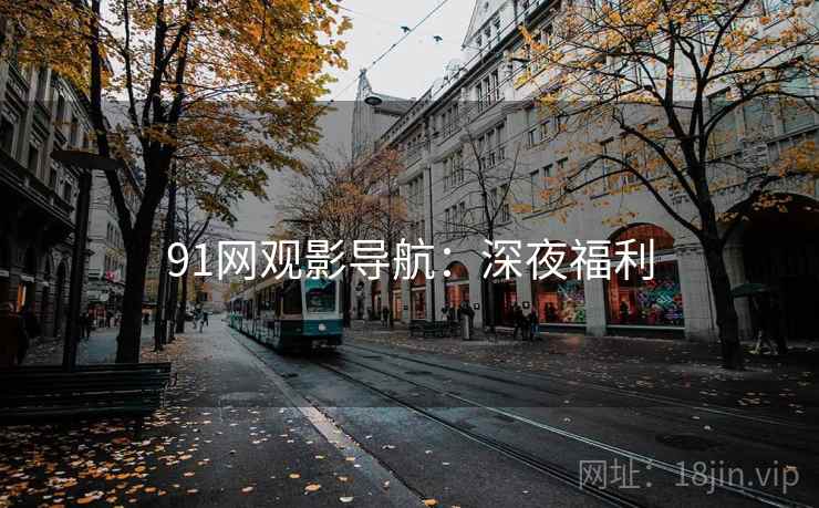91网观影导航：深夜福利