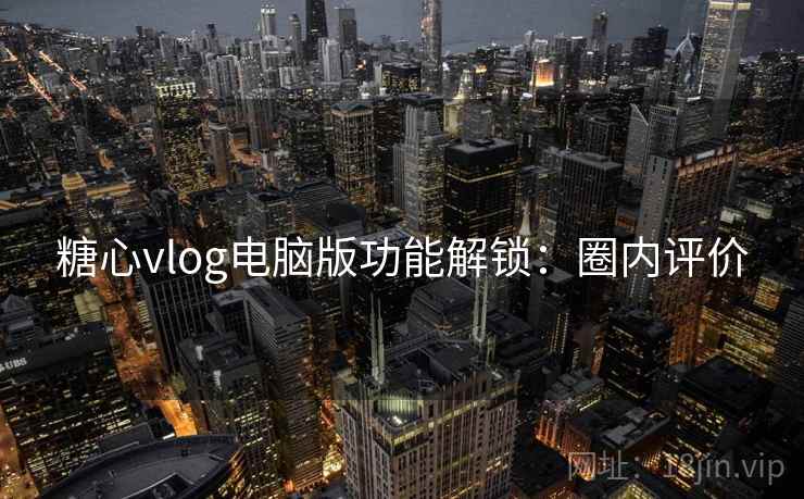 糖心vlog电脑版功能解锁：圈内评价